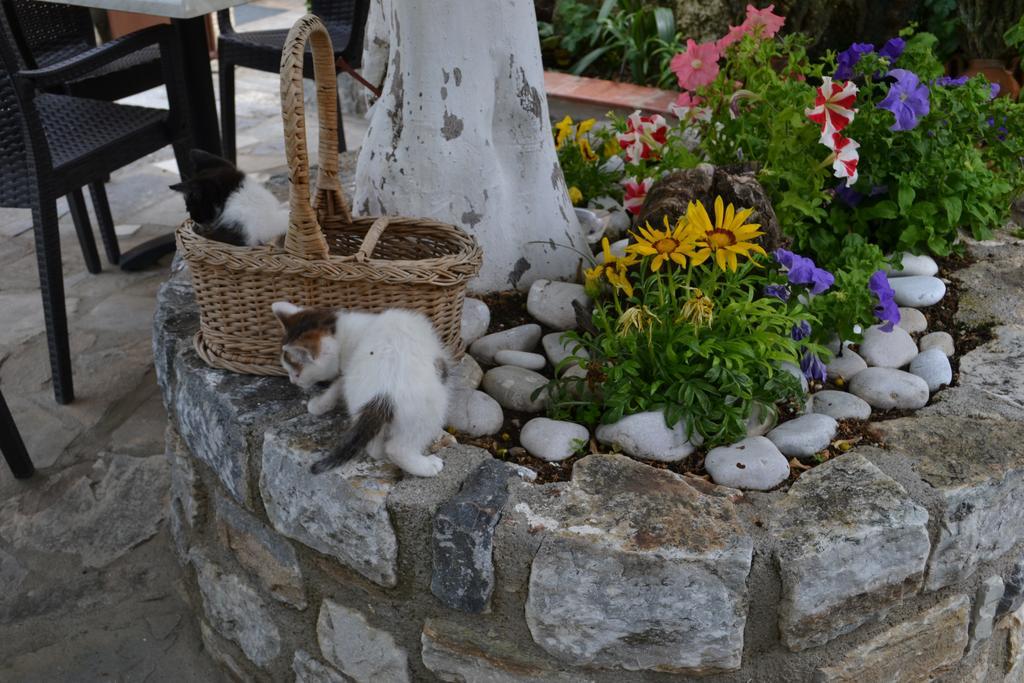 Christina Guest House Mystras Extérieur photo